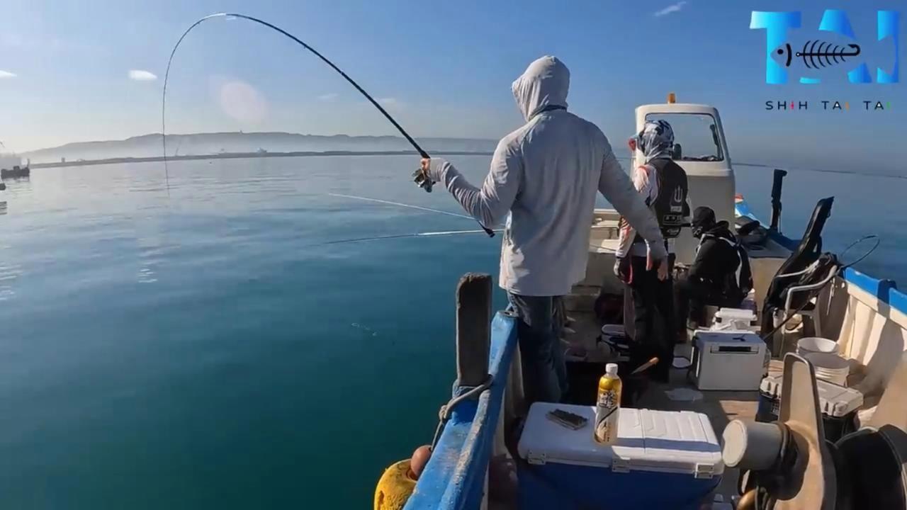 矶钓海钓小菜鸟(2019海钓矶钓视频)