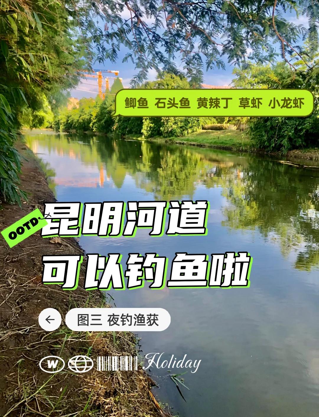 南方河道秋季钓鱼技巧(南方秋季钓鱼用什么饵料)