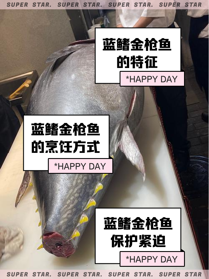 深海钓金枪的方法(深海钓的金枪鱼多少钱一斤)