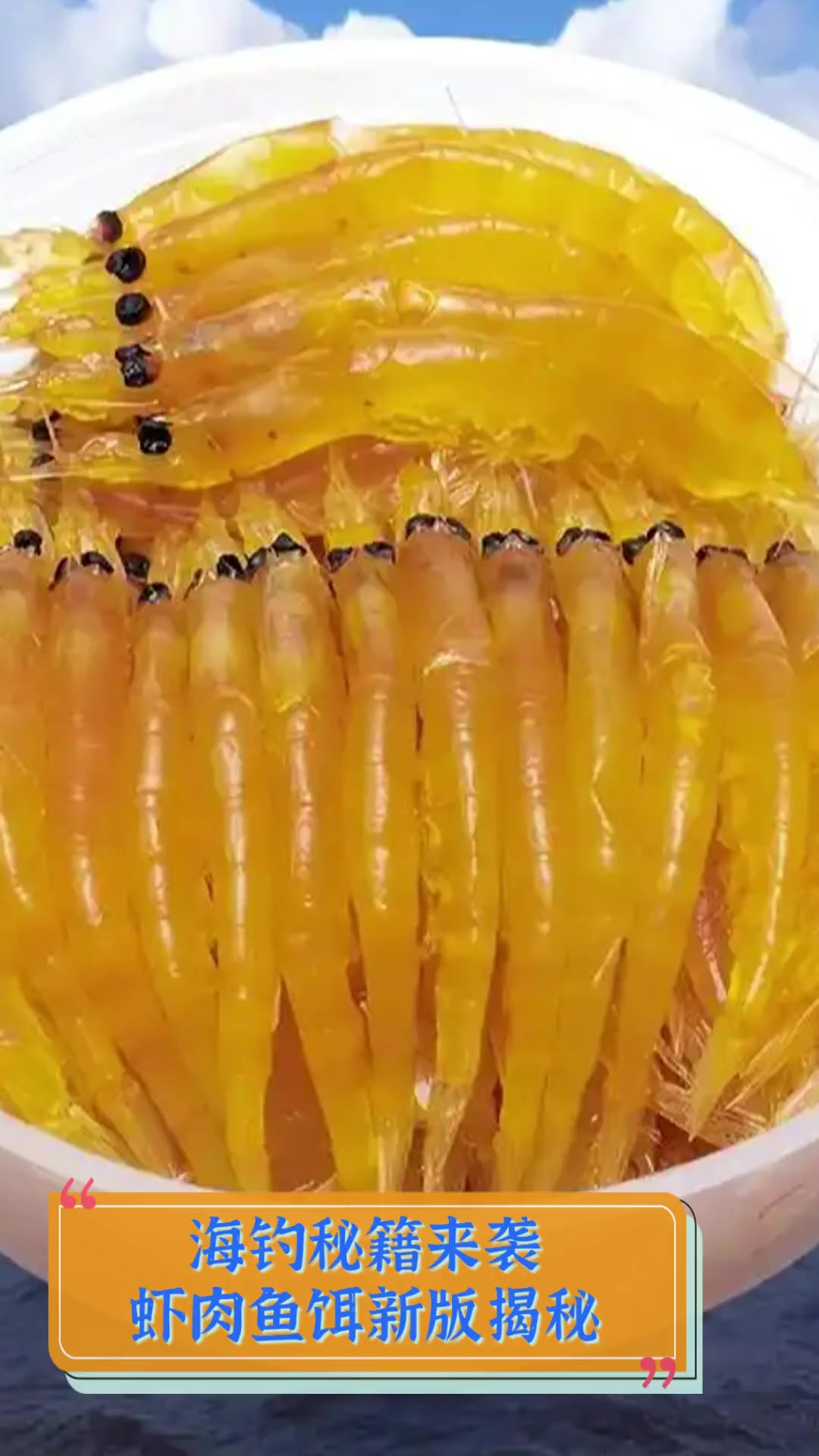 海钓蝦鱼饵(钓海鱼用什么鱼饵)