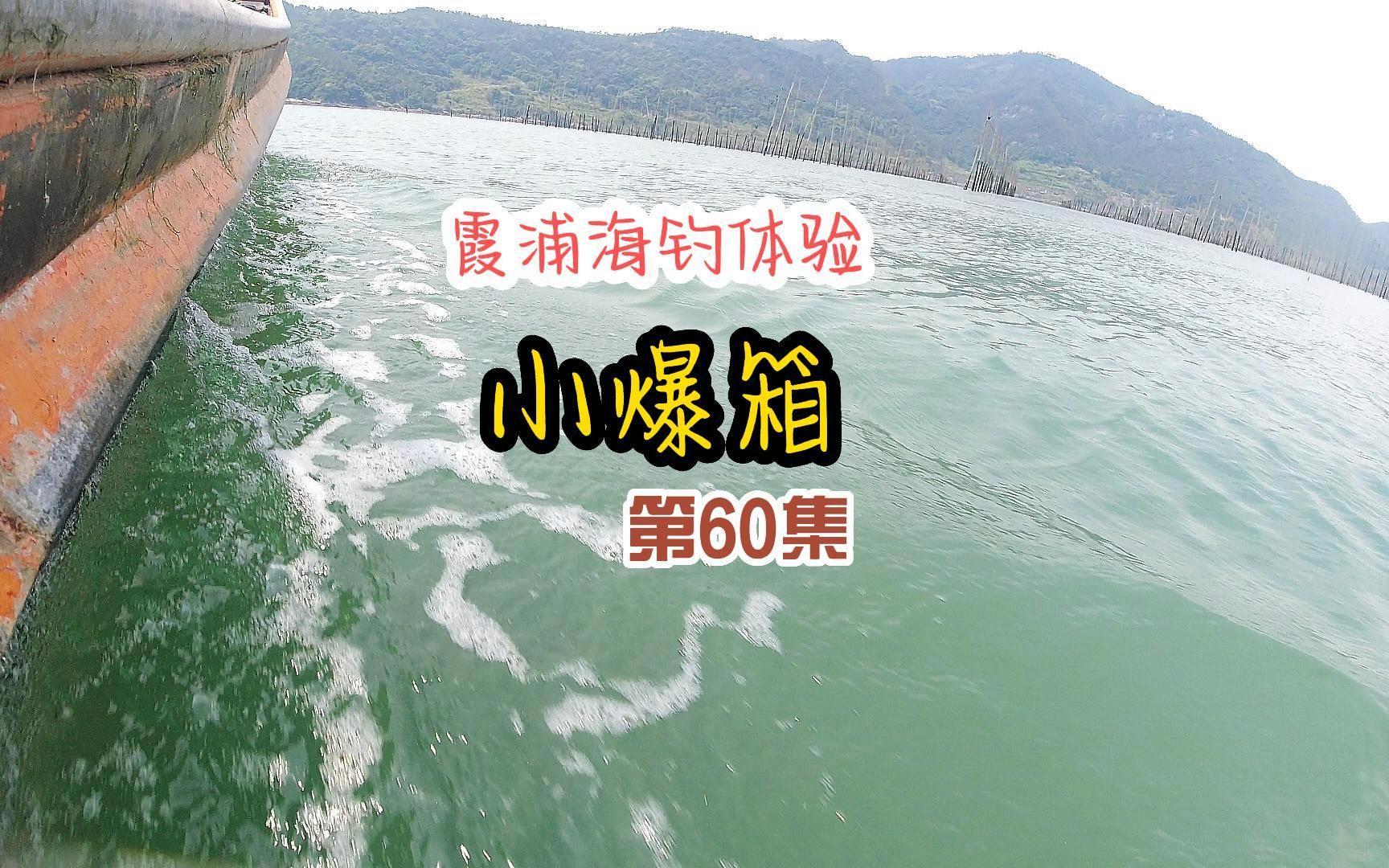 霞浦海钓联系(霞浦海钓好去处)
