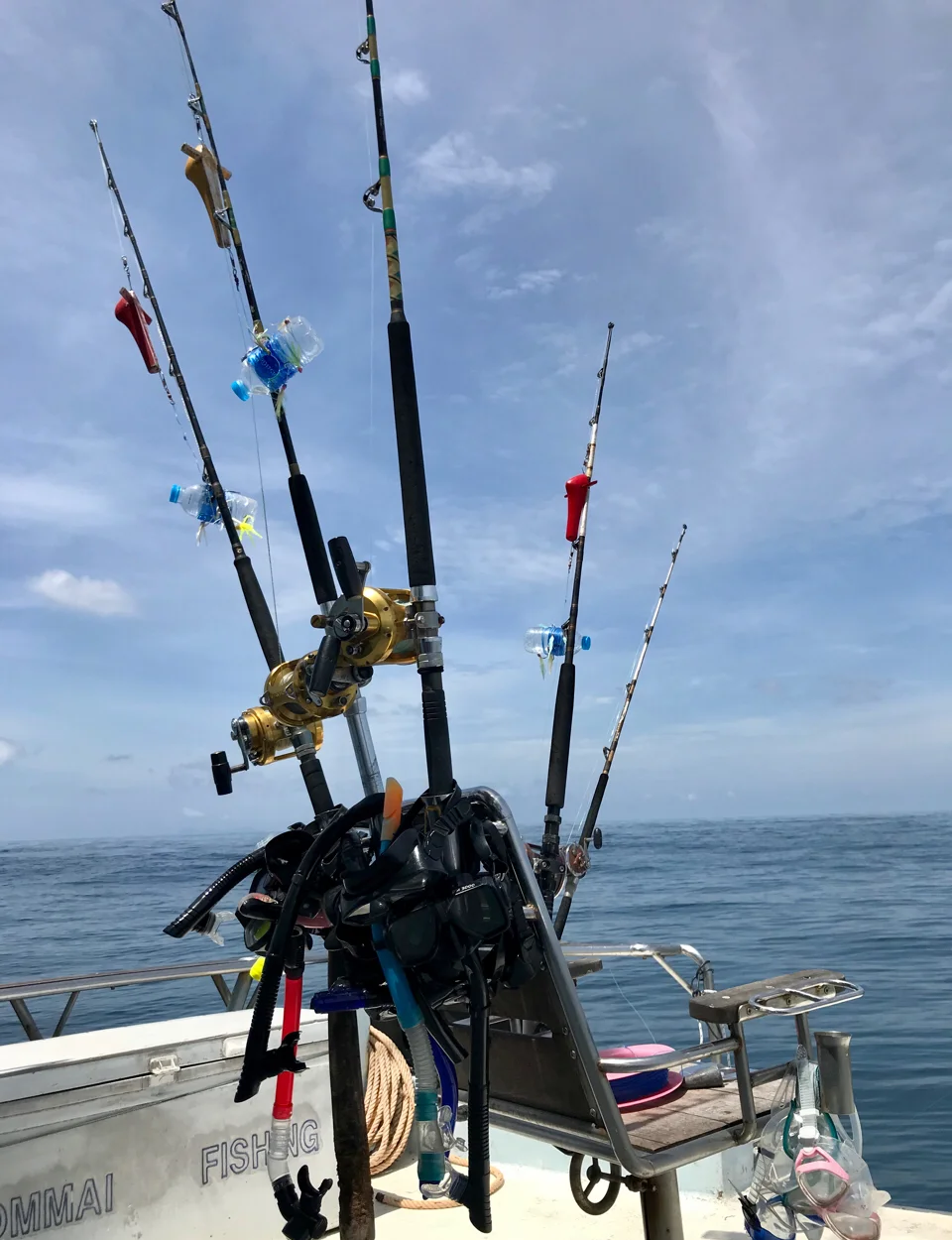 海钓马林鱼(钓马林鱼需要鱼线)