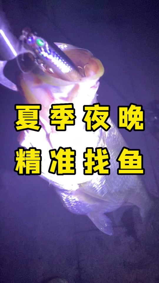 夏季路亚翘嘴的时间(夏天路亚钓翘嘴鱼的最佳水深)