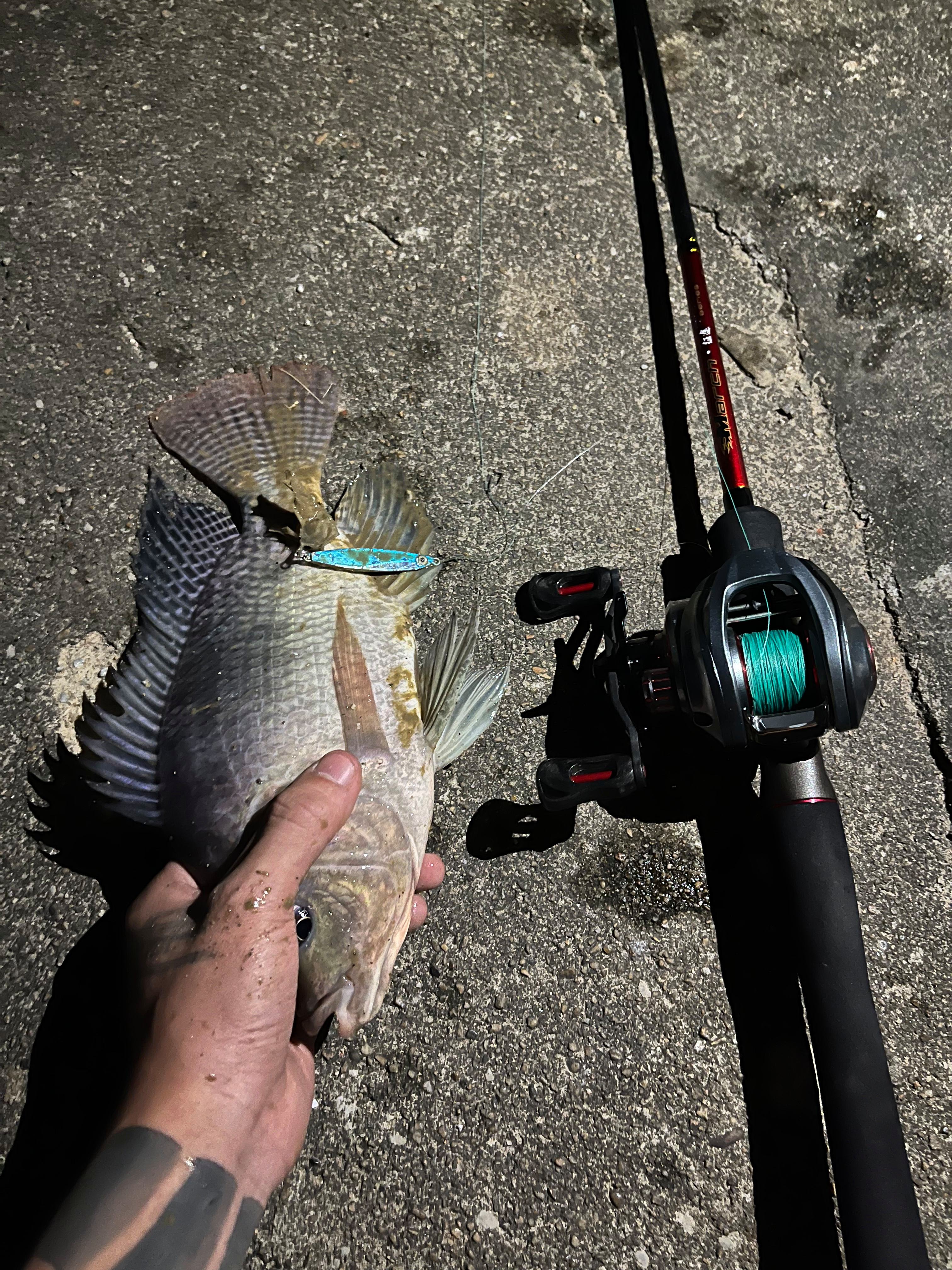 夏季路亚翘嘴的时间(夏天路亚钓翘嘴鱼的最佳水深)