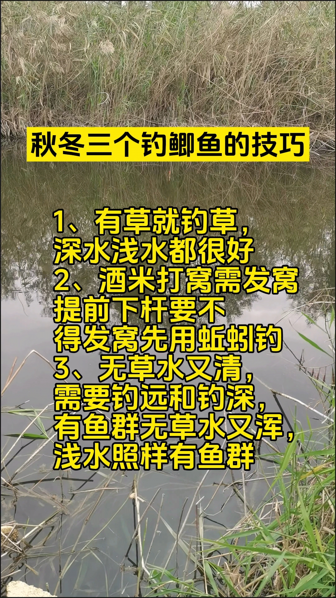 深水钓鱼打窝技巧(深水钓鱼用什么饵料)