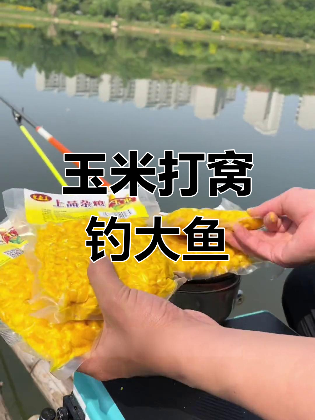 玉米钓鱼打窝技巧(玉米钓鱼打窝技巧图解)