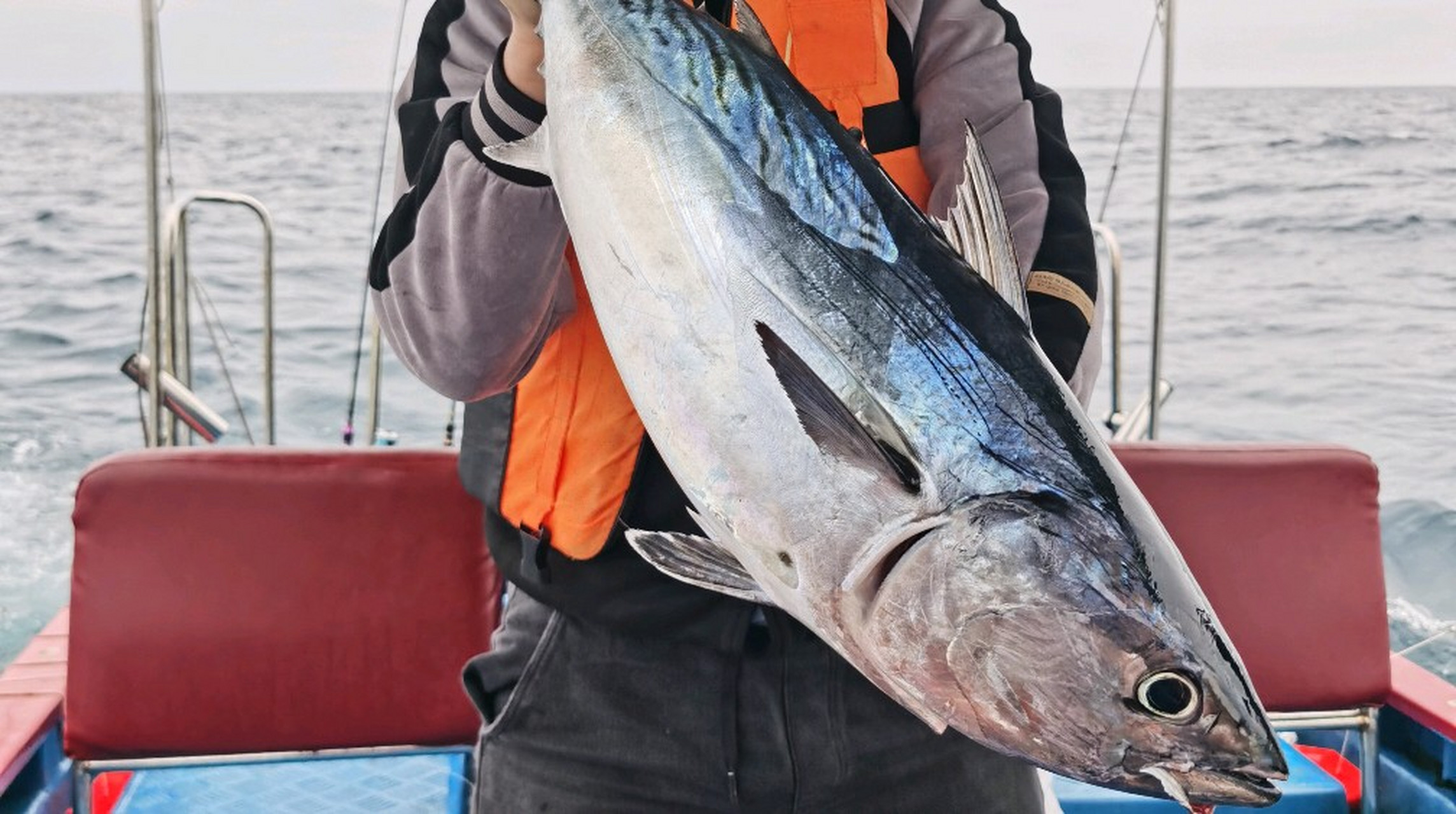 海钓用什么鱼钓(海钓用哪种钓法容易钓到鱼)
