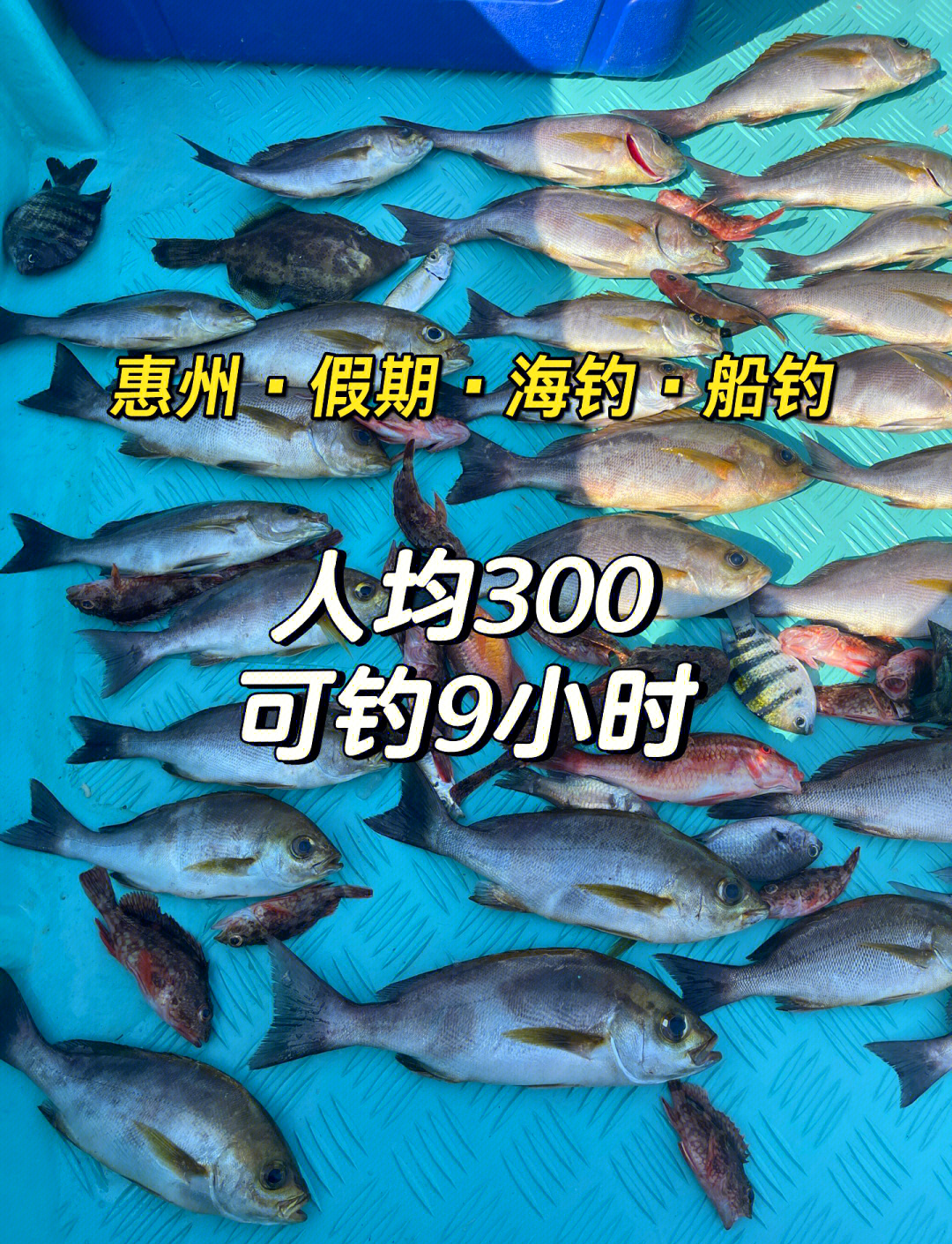 海钓黄鱼技巧简单又有效(海钓黄鱼技巧简单又有效方法)