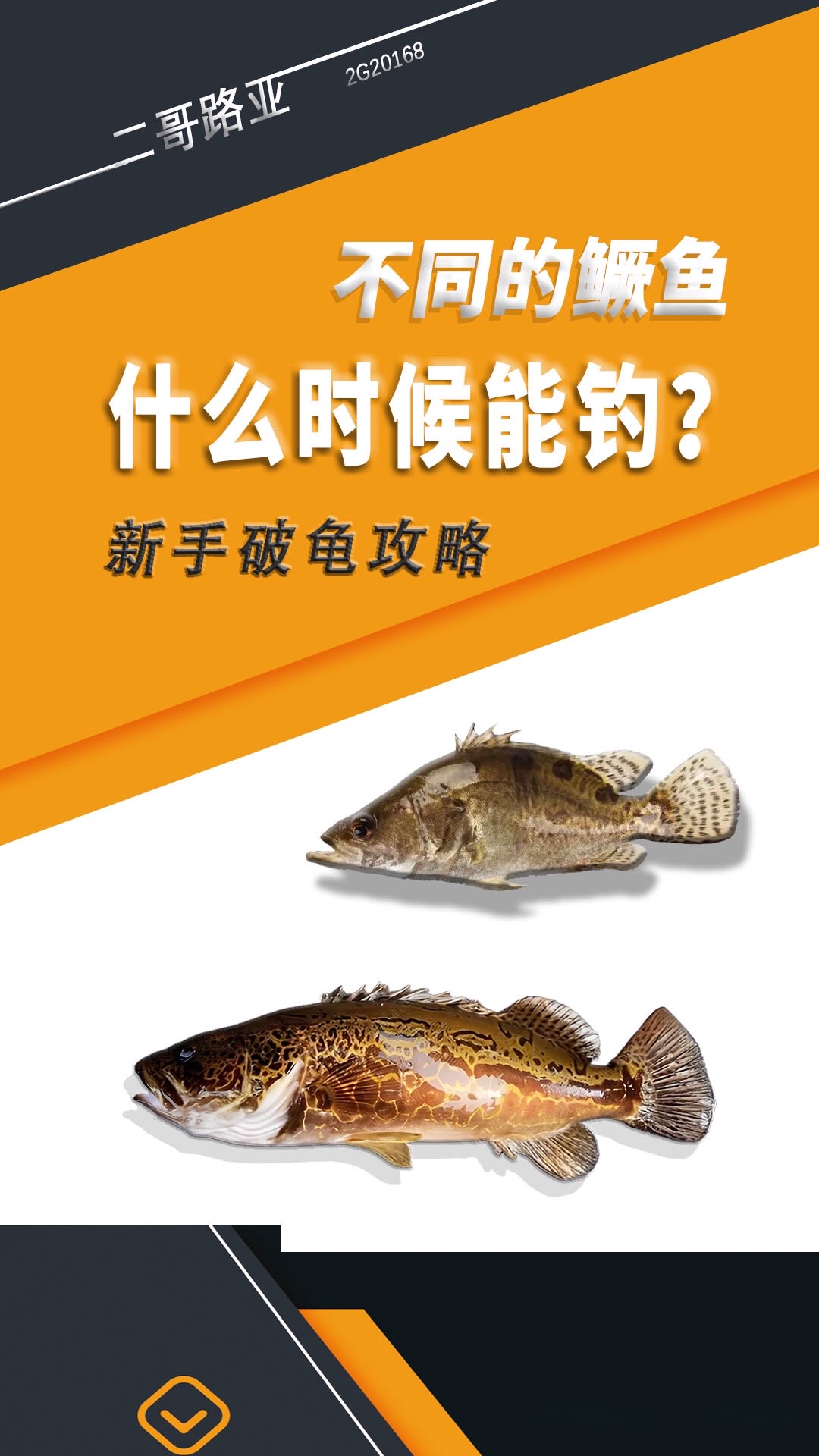 什么时间路亚(路亚什么时候玩合适)