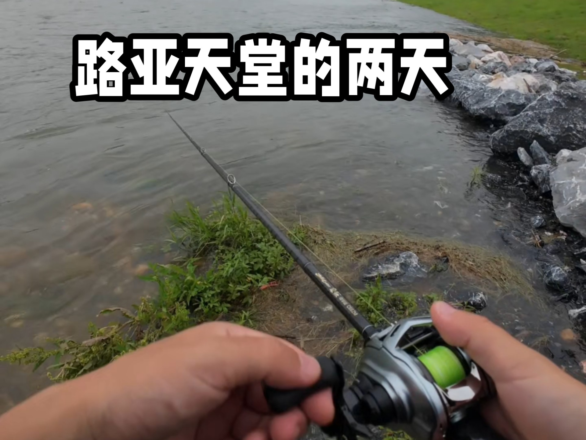 新虹桥路亚(虹桥路亚基地)