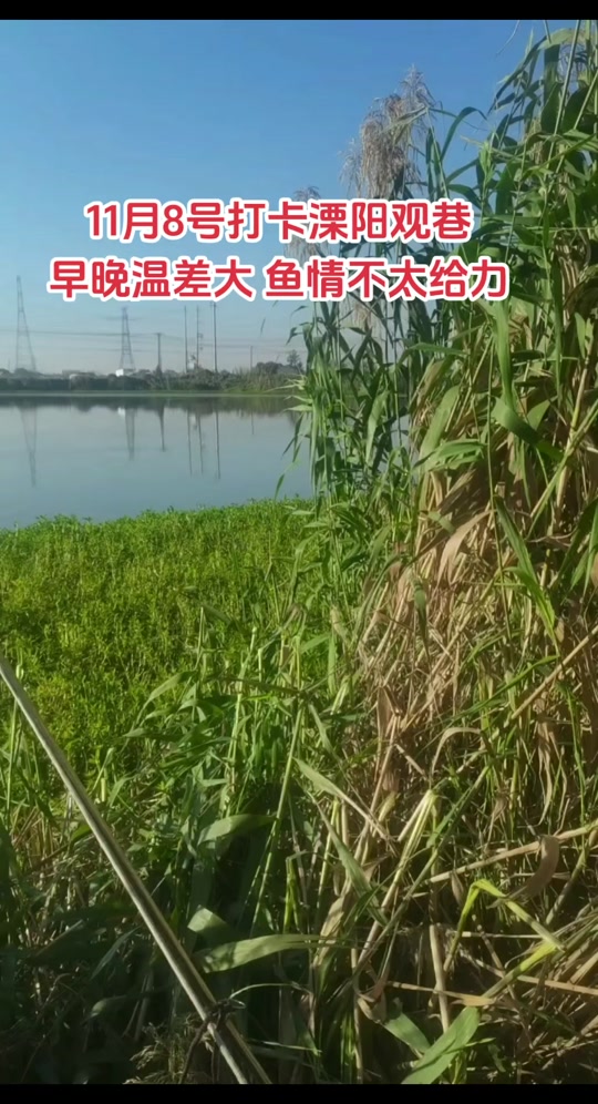 草鱼塘钓鱼技巧(草鱼塘钓鱼技巧和方法)