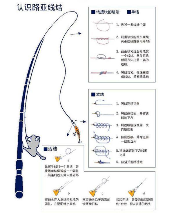 路亚怎么安装图解(路亚怎么安装图解图片)