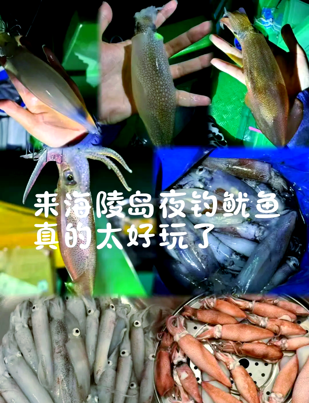 海钓鱿鱼的时间(鱿鱼海钓在晚上的技巧)