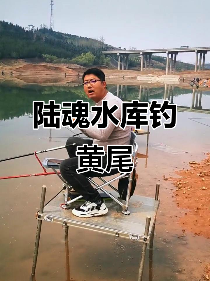 黄尾水库技巧视频(大水库黄尾鱼的钓法)