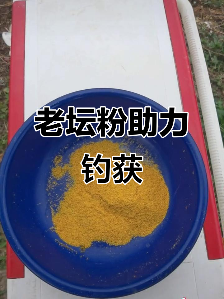 大竹玉米粉钓鱼技巧(为什么挂玉米钓鱼一天没口)
