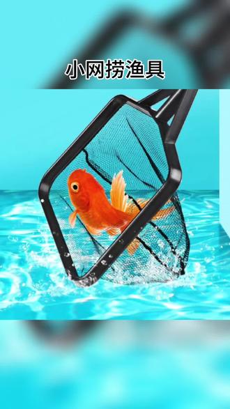 渔具和水族(渔具水族箱手工)