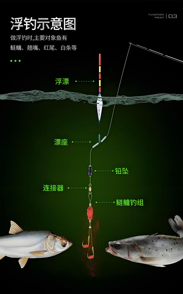 筏竿钓鲢鳙技巧(筏竿钓鲢鳙线组图解)