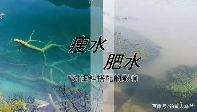 秋季肥水饵料配方(秋季肥水饵料配方比例)