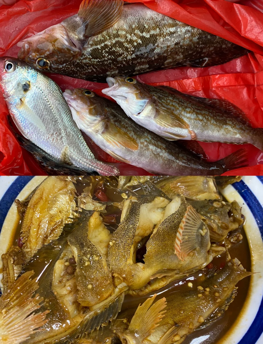 青岛夏季适合海钓吗(青岛海边夏天钓什么鱼)