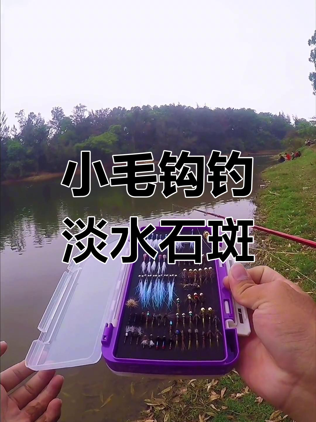 淡水鱼吃钩技巧(钓鱼时鱼在水下吃钩视频)