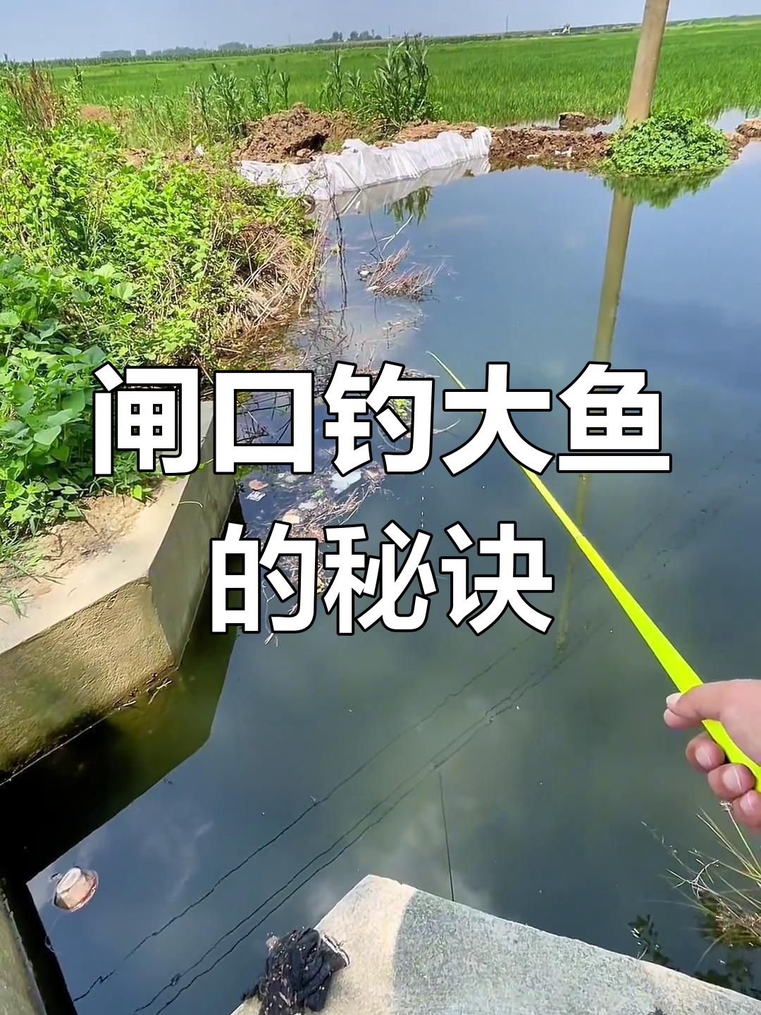 昆明大水库钓鱼技巧(昆明水库钓鱼怎么收费)