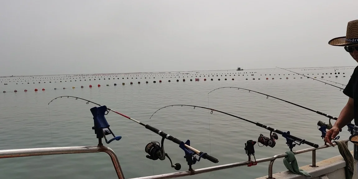 台山海钓最佳地方(台山出海钓鱼)