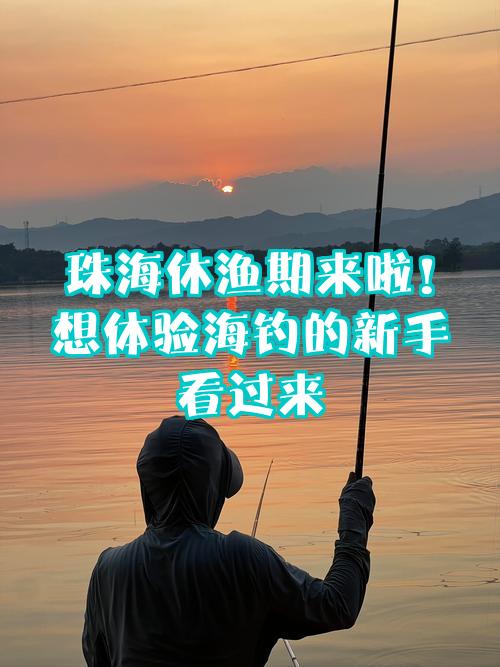 珠海最新免费海钓地点(珠海最新免费海钓地点有哪些)
