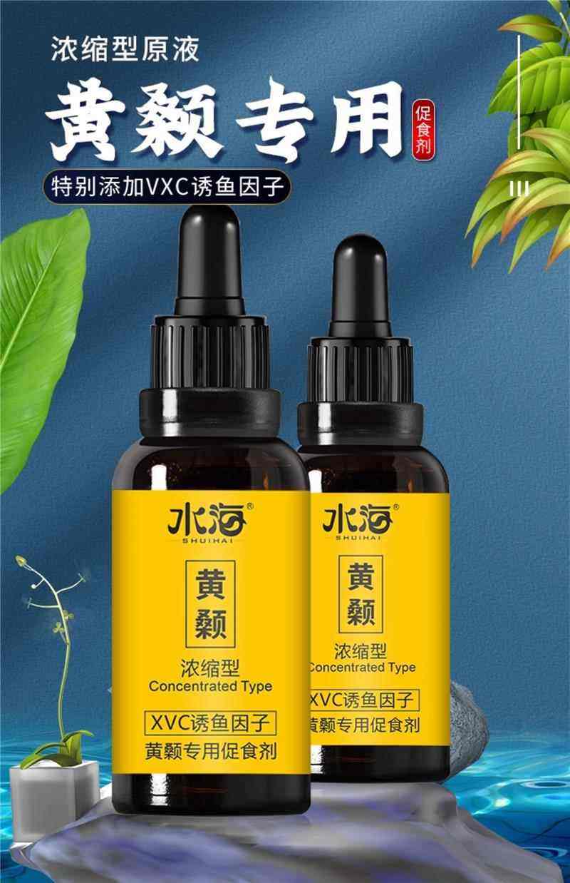 海里面钓鱼用什么饵料(钓海里的鱼一般用什么饲料)