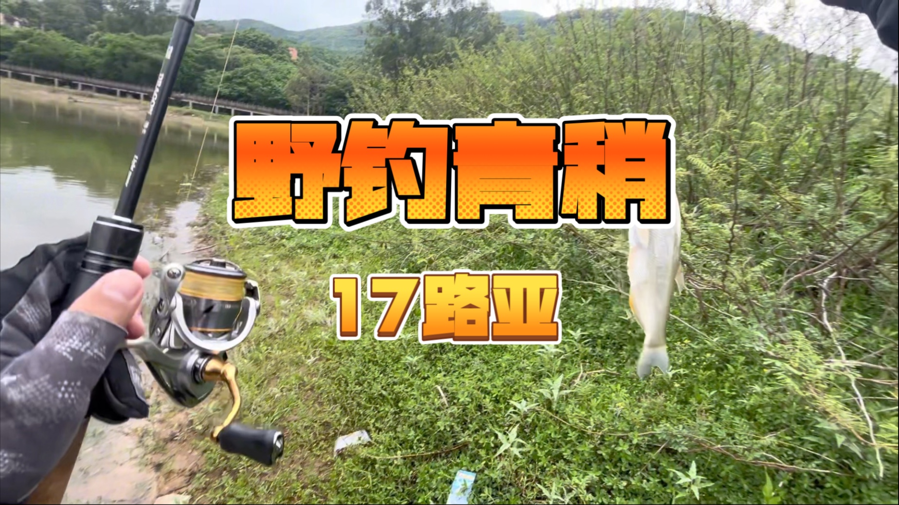 路亚没口(路亚没资源怎么办)