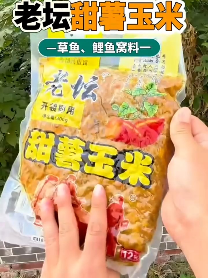 甜玉米自制饵料(自制甜玉米粒钓饵)