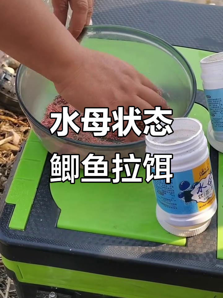 夏天酒米打窝技巧(酒米打窝的好处)
