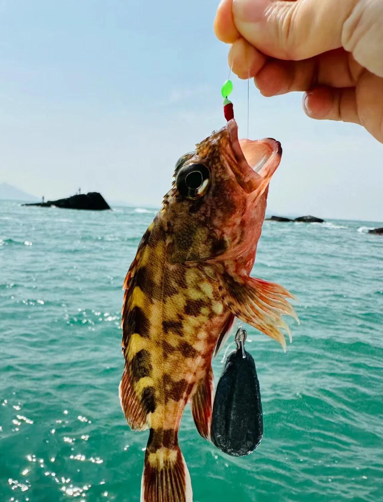 威海海钓群(威海海钓基地怎么收费的)