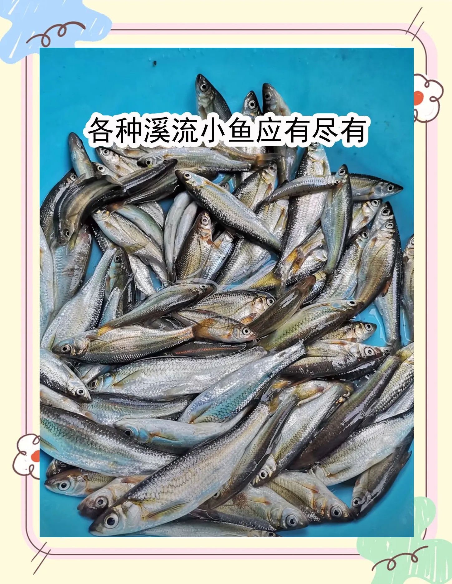 鱼少的河流打窝技巧(河流钓鱼打窝)