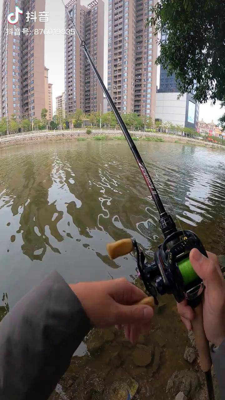 杭州内河路亚(杭州运河路亚钓点)