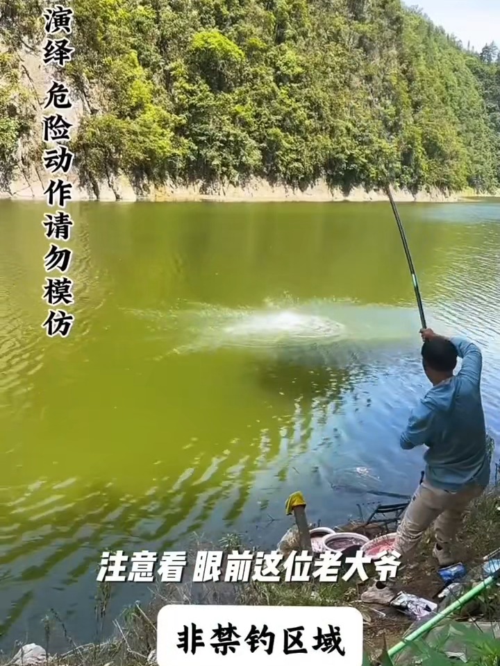水怪饵料雾化控制(水怪饵料应该调整到什么状态)