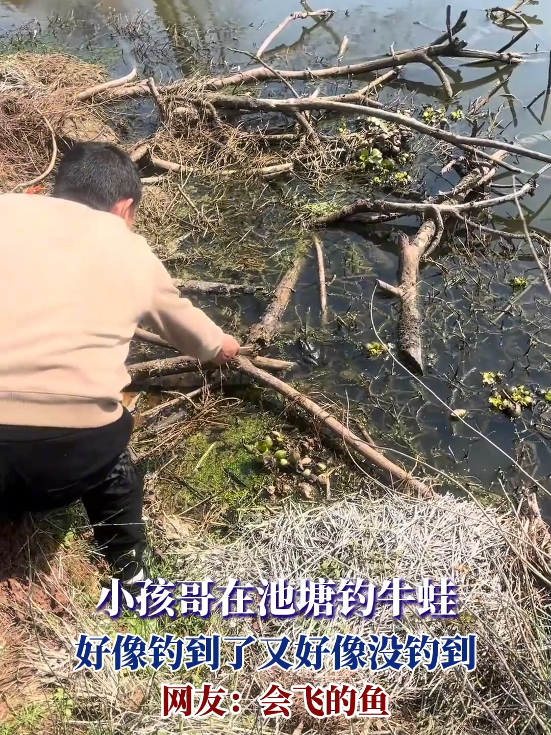 池塘钓小鱼技巧视频(池塘钓小鱼技巧视频大全)