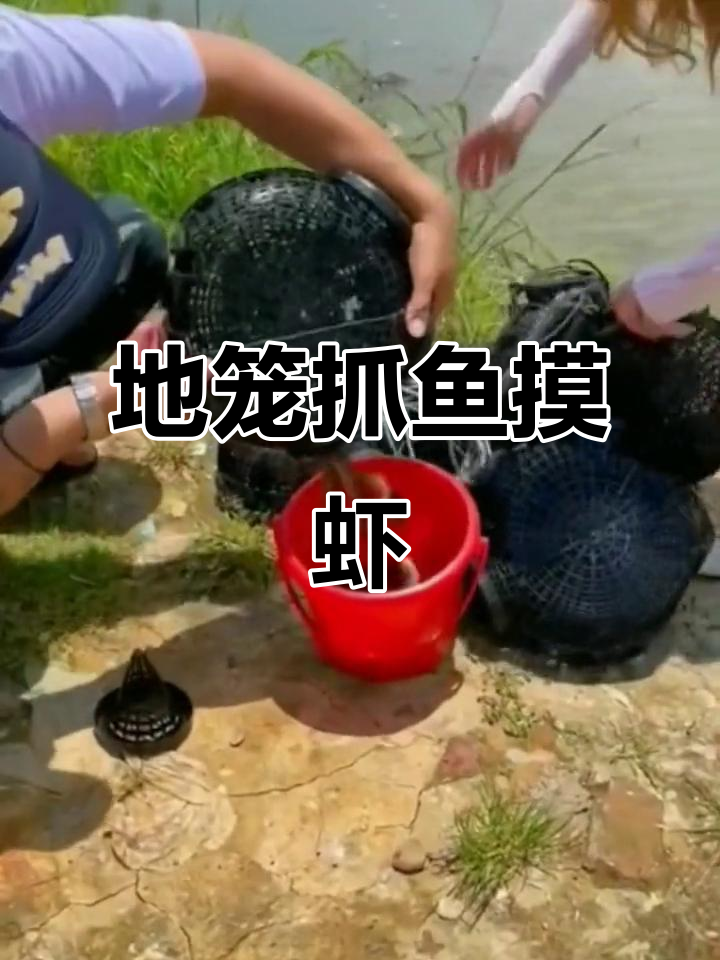 鱼虫的捞捕技巧(捞鱼虫网制作方法)