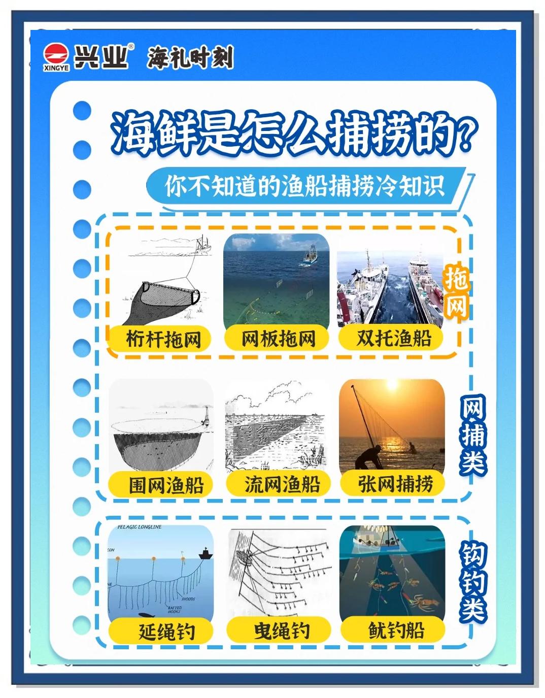 鱼虫的捞捕技巧(捞鱼虫网制作方法)
