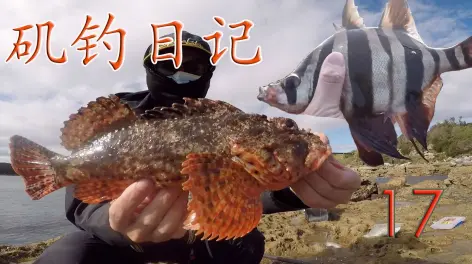 海钓蟹子(海钓蟹子用什么饵)