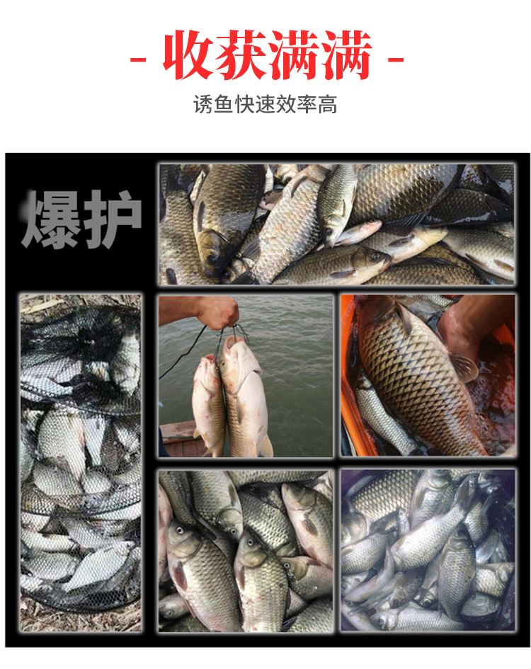 三水鱼饵料(十大禁用饵料排名)