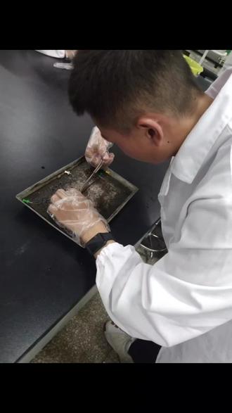 装蚯蚓技巧视频(如何装蚯蚓才能上鱼快)