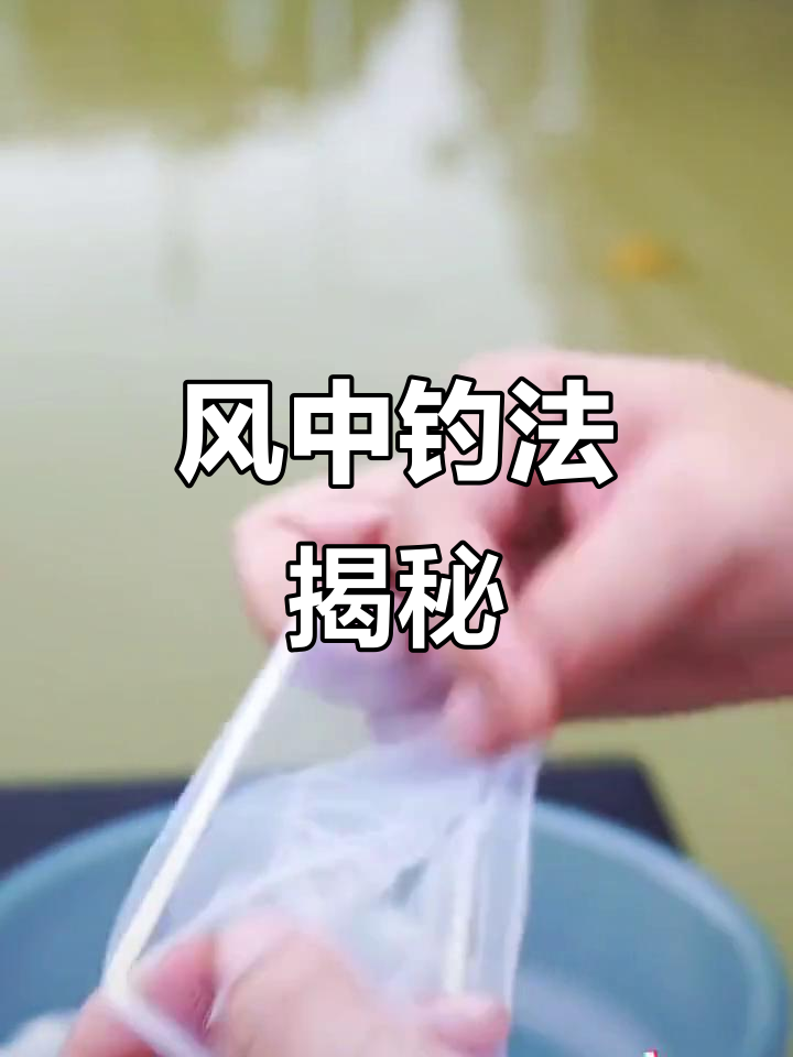 秋季刮风钓鱼技巧(秋季刮风钓鱼技巧和方法)