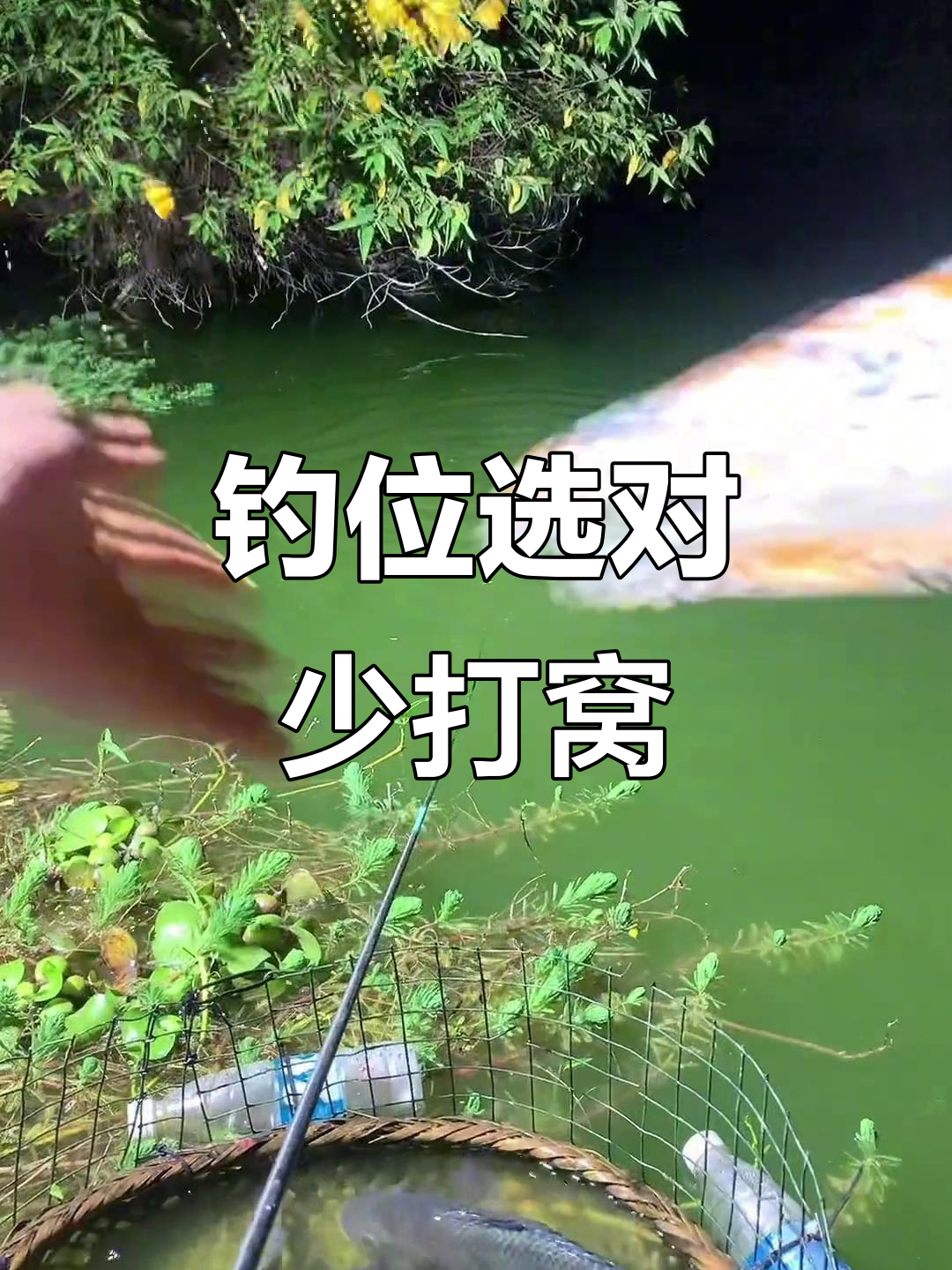 春季水库鱼打窝技巧(春季水库鱼打窝技巧和方法)