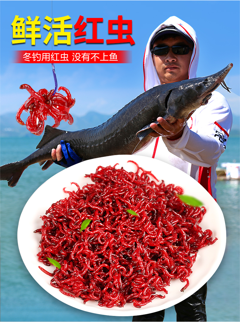 饵料拉饵(饵料拉饵怎么开)