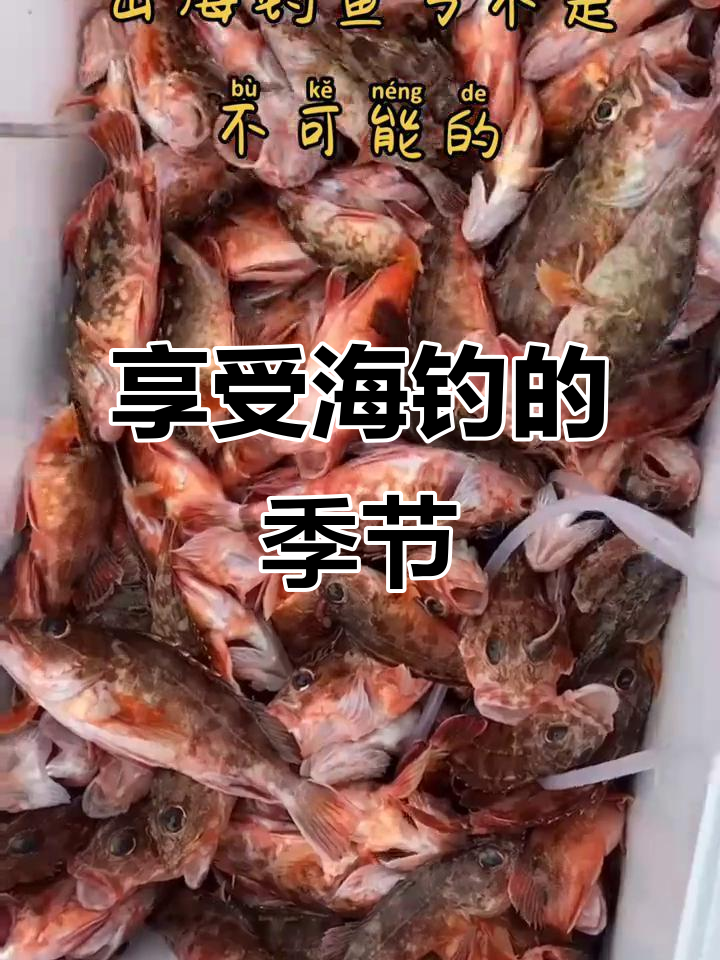 海钓最佳季节(海钓什么时候)