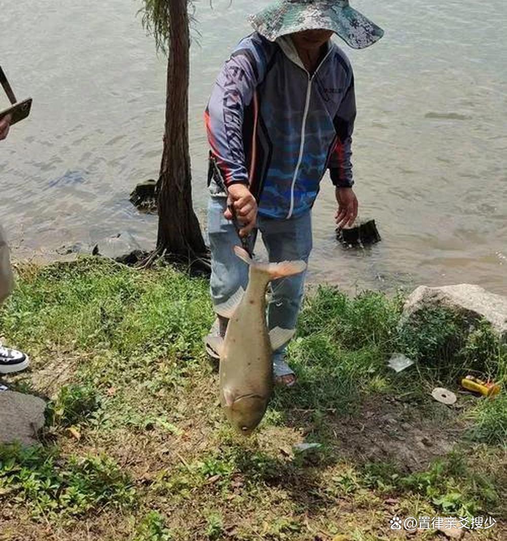春季乐山野钓技巧(乐山周边水库野钓)