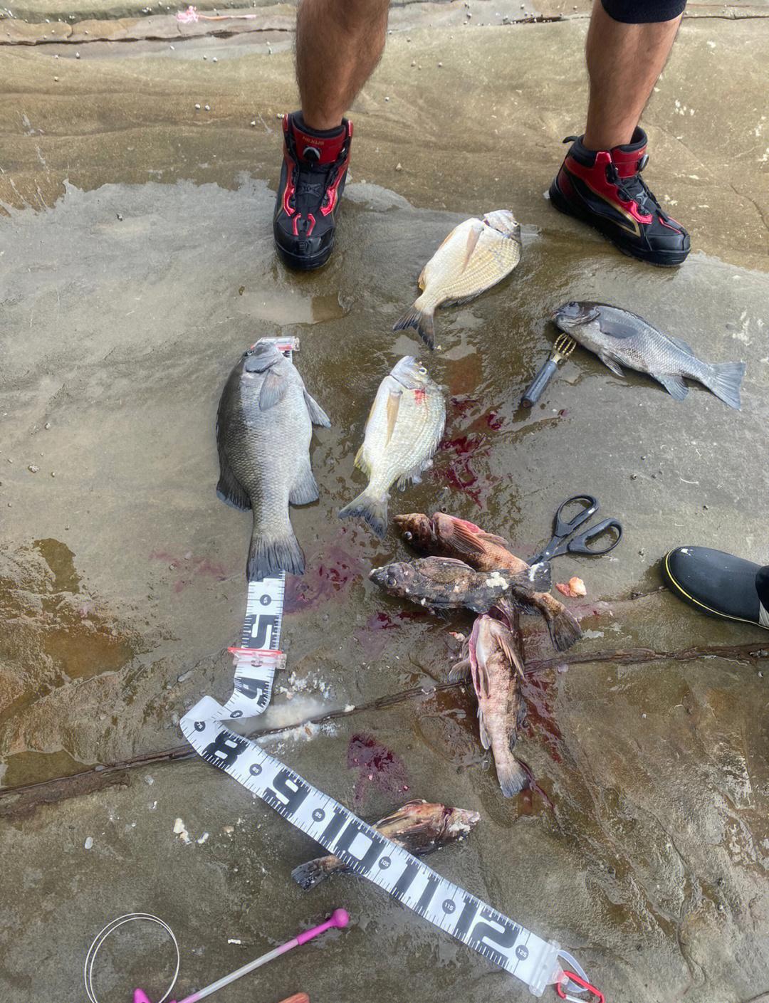 浪高几米不能出海钓鱼(买钓鱼船出海钓鱼的小说)