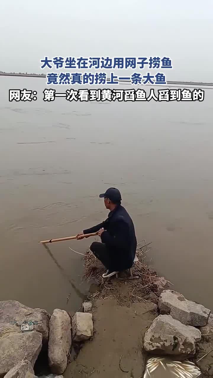 用大鱼网捞鱼技巧(大网捞鱼游戏规则)