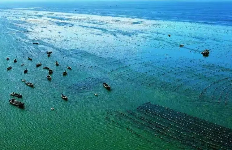 葫芦岛海钓电话(葫芦岛海钓岸钓地点)