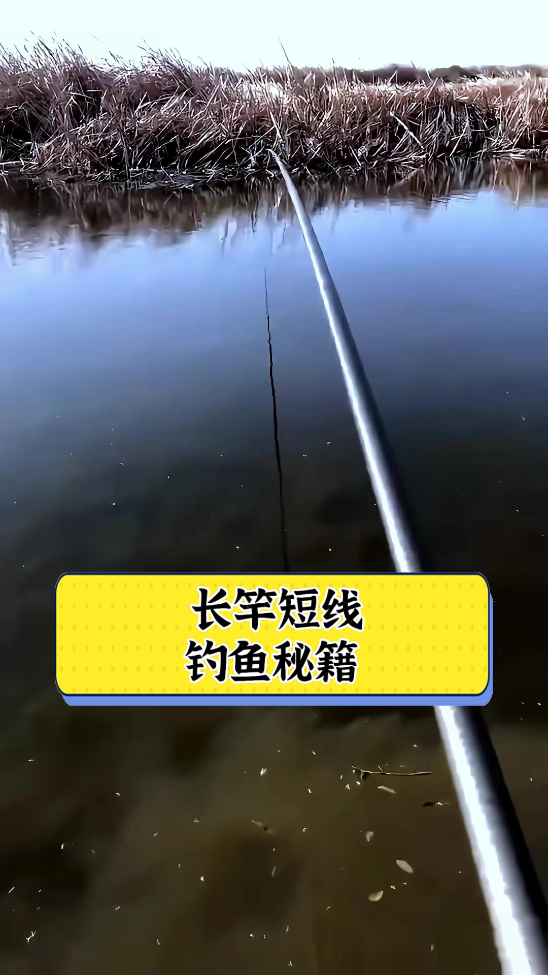 传统长竿钓鱼技巧(传统长竿钓鱼技巧和方法)